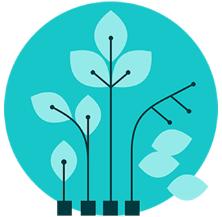 Product Lifecycle