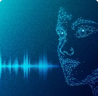 Language Driven Insights